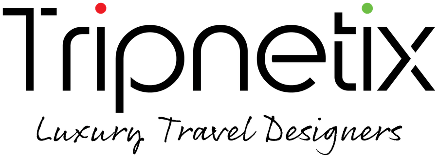 Tripnetix logo